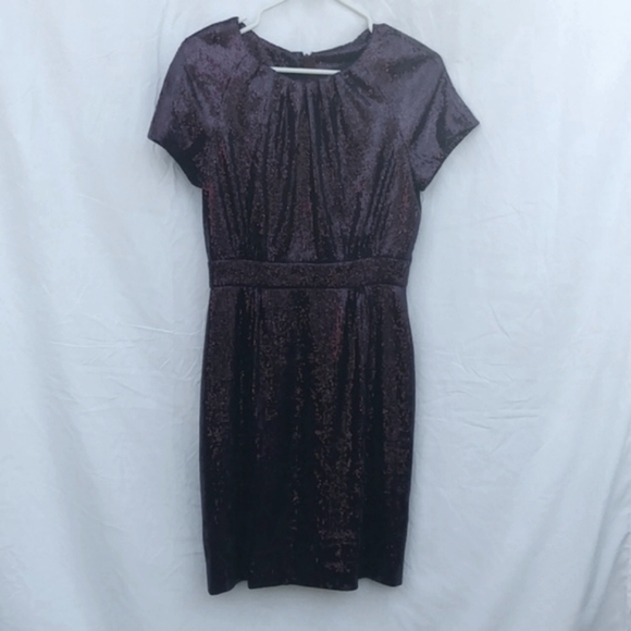PETER SOM grape baby sequins silk-lined short sleeved dress size 4 - Picture 1 of 8